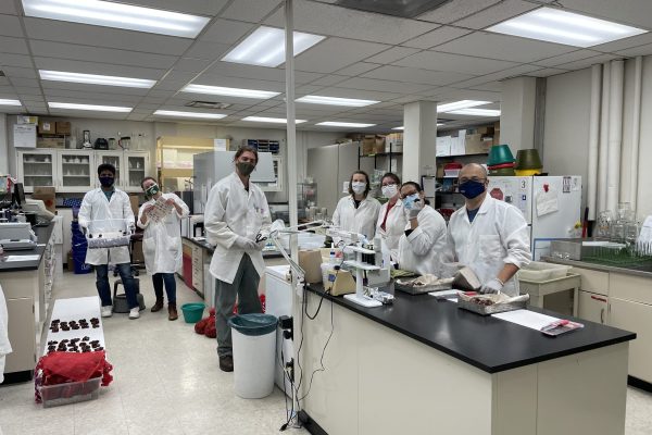 Sakalidis lab members in the middle of a large chestnut experiment set up