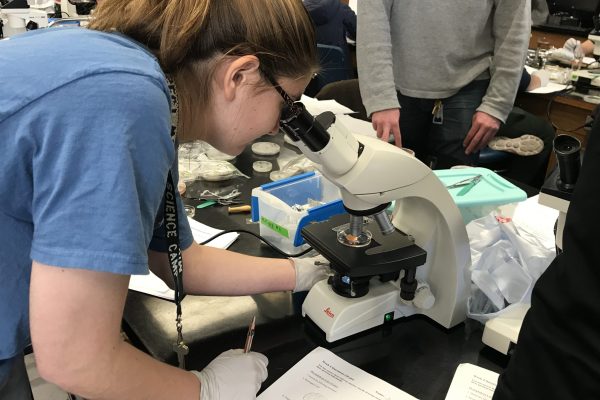 PLP/FOR/ENT407 student using a microscope